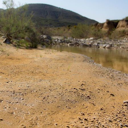 Hostal La Parrilla توذيلا المظهر الخارجي الصورة